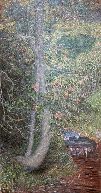 Pine Tree
